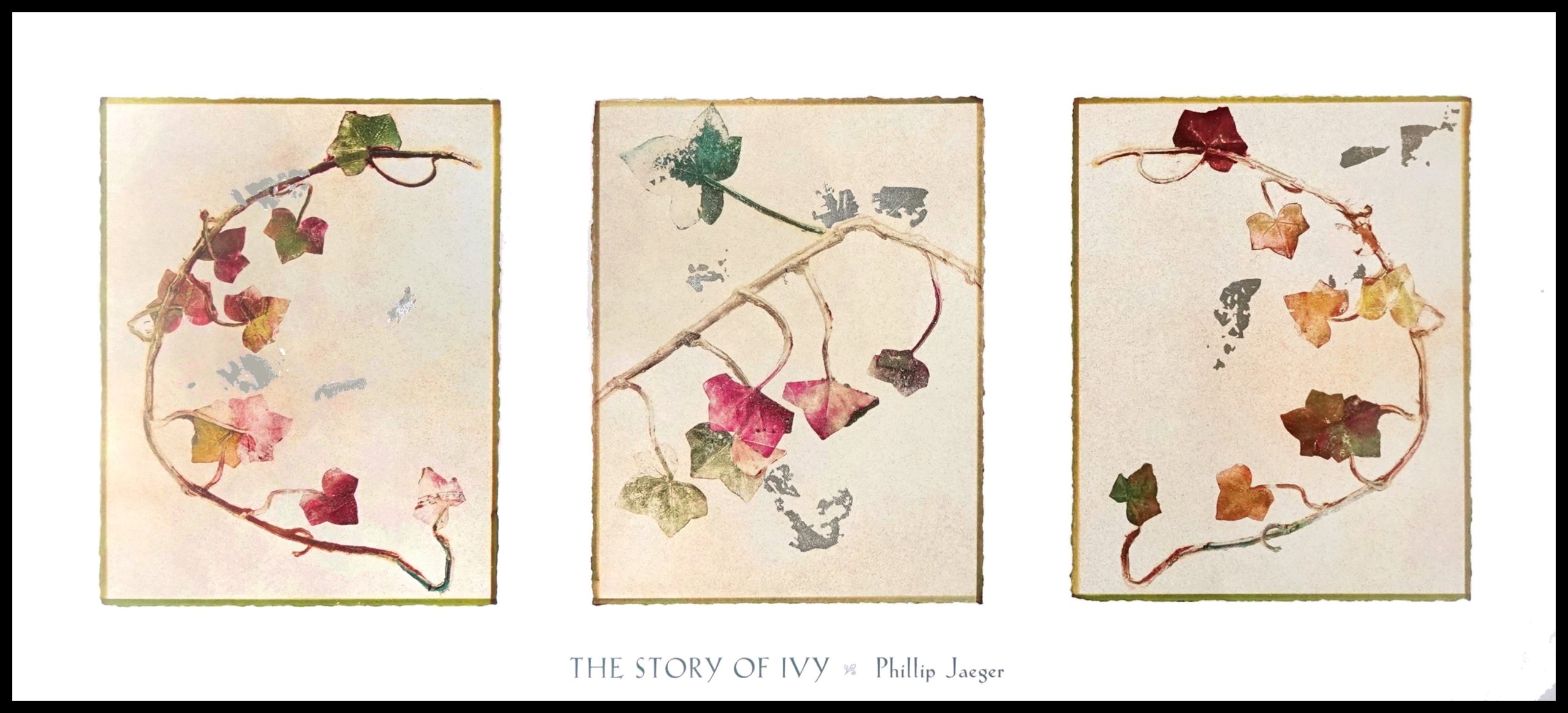 TA PJ752 The Story of Ivy